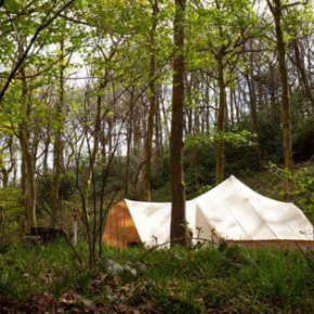 Secret Wood Glamping